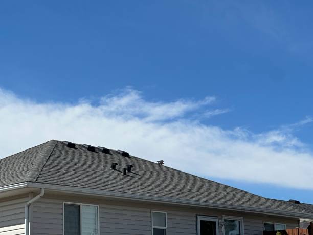 Best Roof Moss and Algae Removal  in Paulina, LA